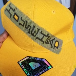 House Head Flat Cap NWOT